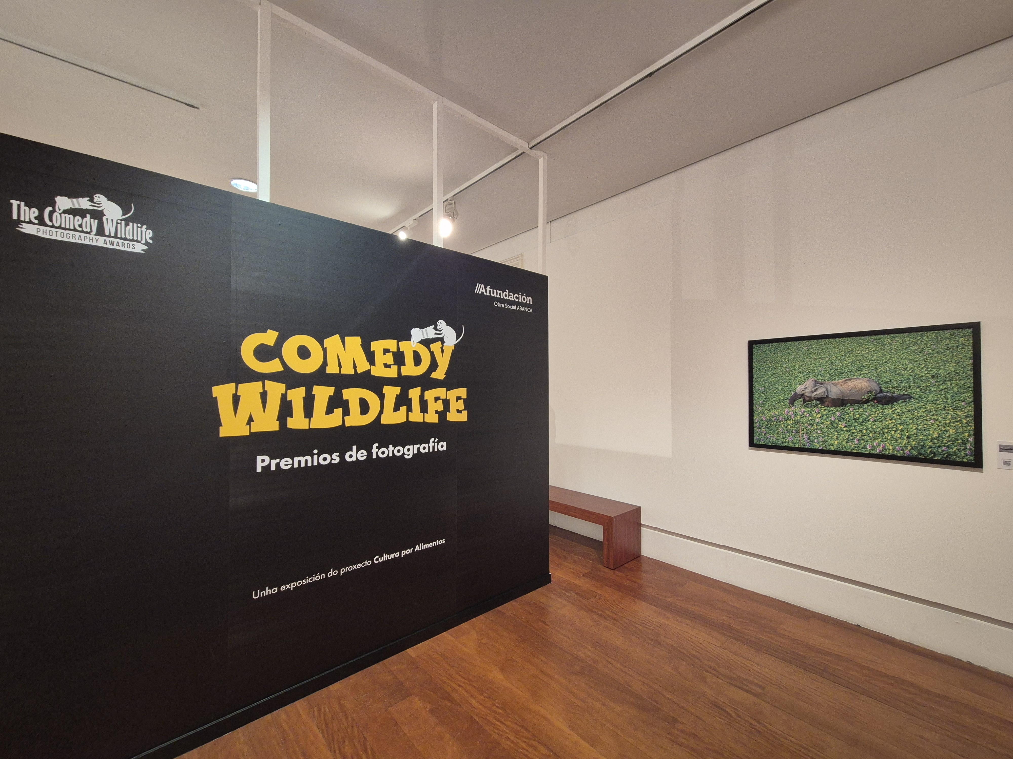 Afundación propone descubrir la comicidad escondida en la naturaleza en su nueva exposición en Pontevedra